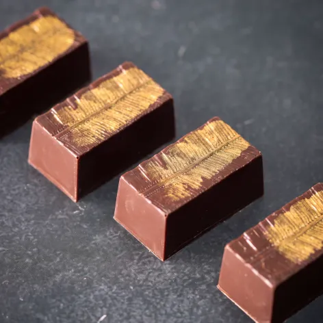 Chocolate Mould